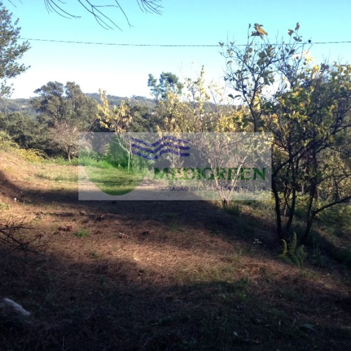 Terreno para Venda em Silva Escura e Dornelas Foto 15