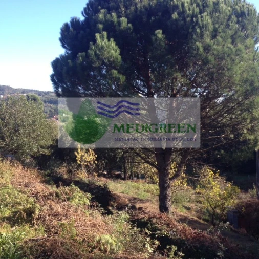 Terreno para Venda em Silva Escura e Dornelas Foto 3