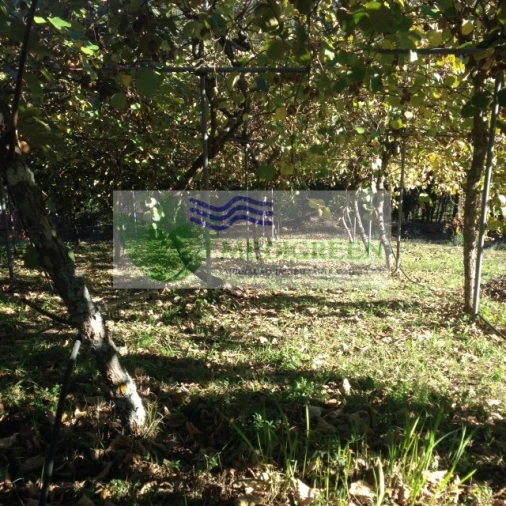 Terreno para Venda em Silva Escura e Dornelas Foto 4