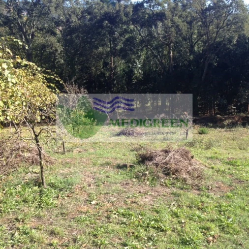 Terreno para Venda em Silva Escura e Dornelas Foto 7