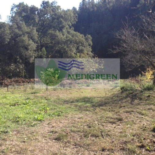 Terreno para Venda em Silva Escura e Dornelas Foto 8