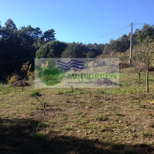 Terreno para Venda em Silva Escura e Dornelas Foto 9