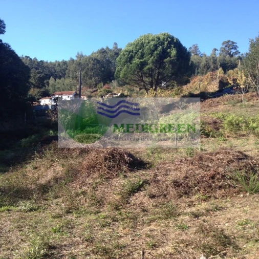 Terreno para Venda em Silva Escura e Dornelas Foto 11