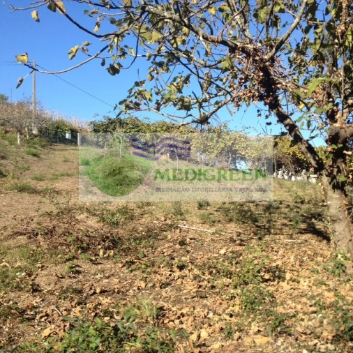 Terreno para Venda em Silva Escura e Dornelas Foto 12