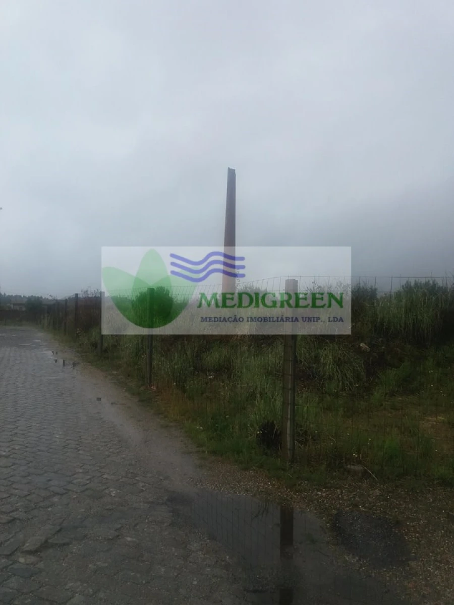 Terreno para Venda em Branca Foto 6