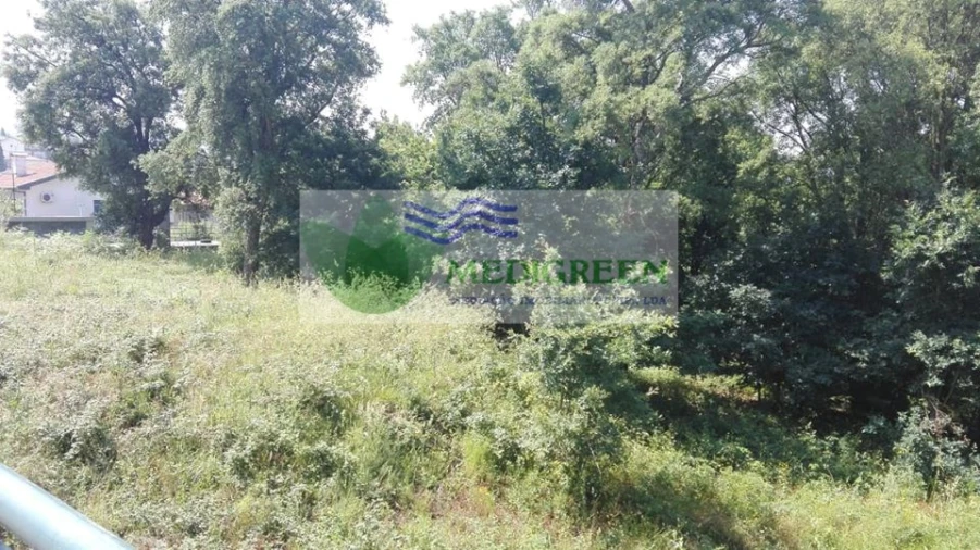 Terreno para Venda em Macieira de Cambra Foto 4