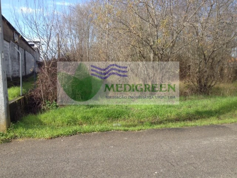 Terreno para Venda em Oliveira do Bairro Foto 8