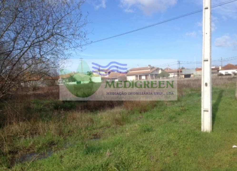 Terreno para Venda em Oliveira do Bairro Foto 10