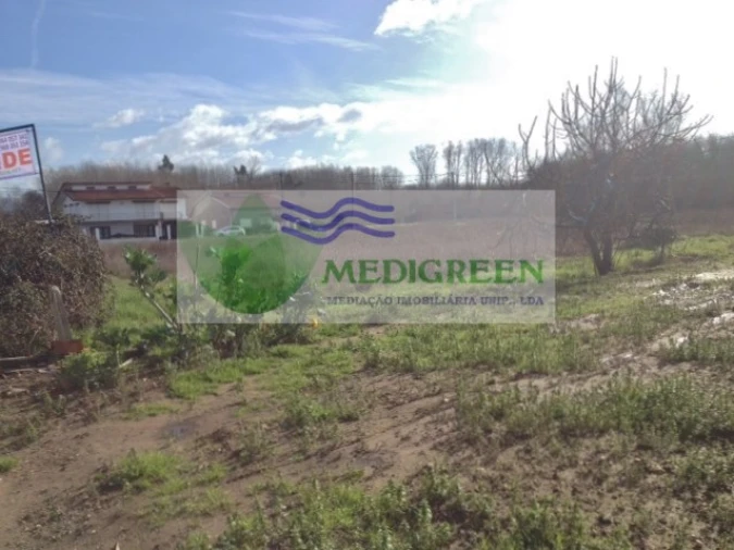 Terreno para Venda em Oliveira do Bairro Foto 2