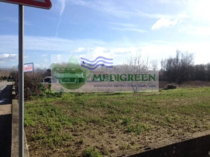 Terreno para Venda em Oliveira do Bairro Foto 3