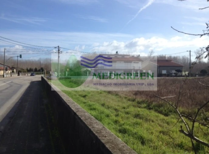 Terreno para Venda em Oliveira do Bairro Foto 5