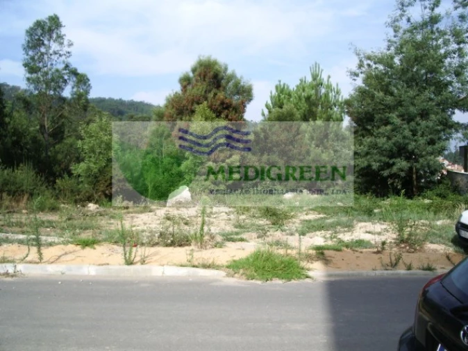 Terreno para Venda em Sever do Vouga Foto 1