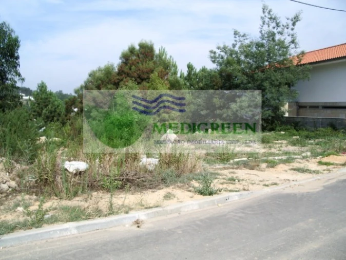 Terreno para Venda em Sever do Vouga Foto 2
