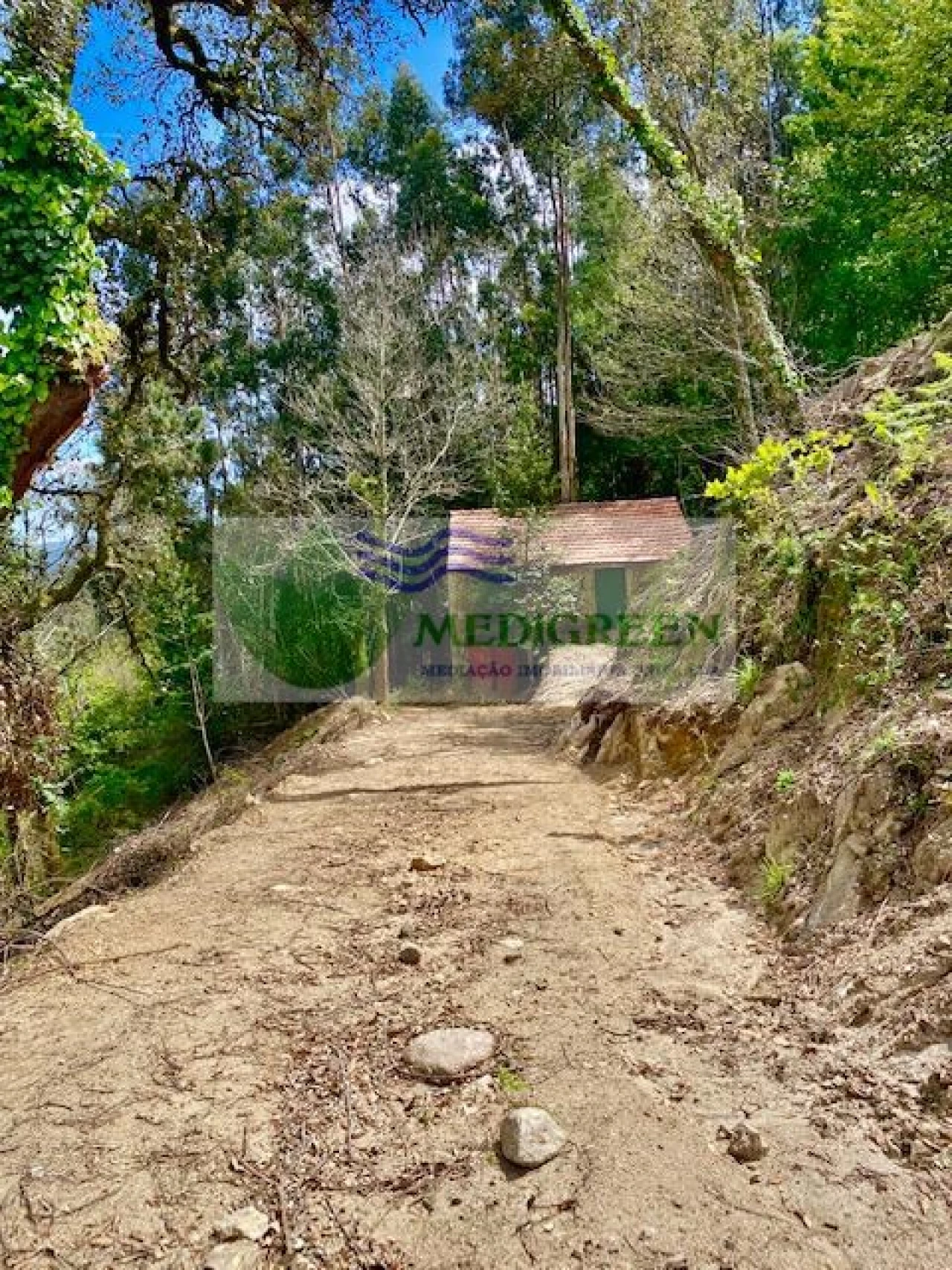 Moradia para Venda em Rocas do Vouga Foto 3