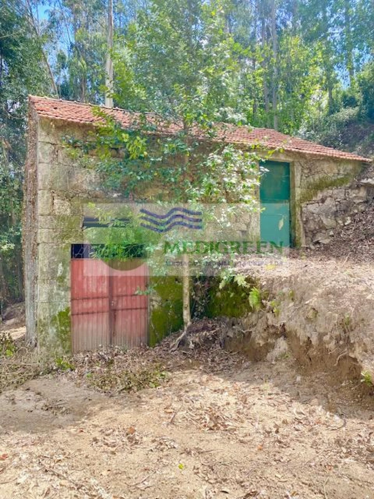 Moradia para Venda em Rocas do Vouga Foto 5