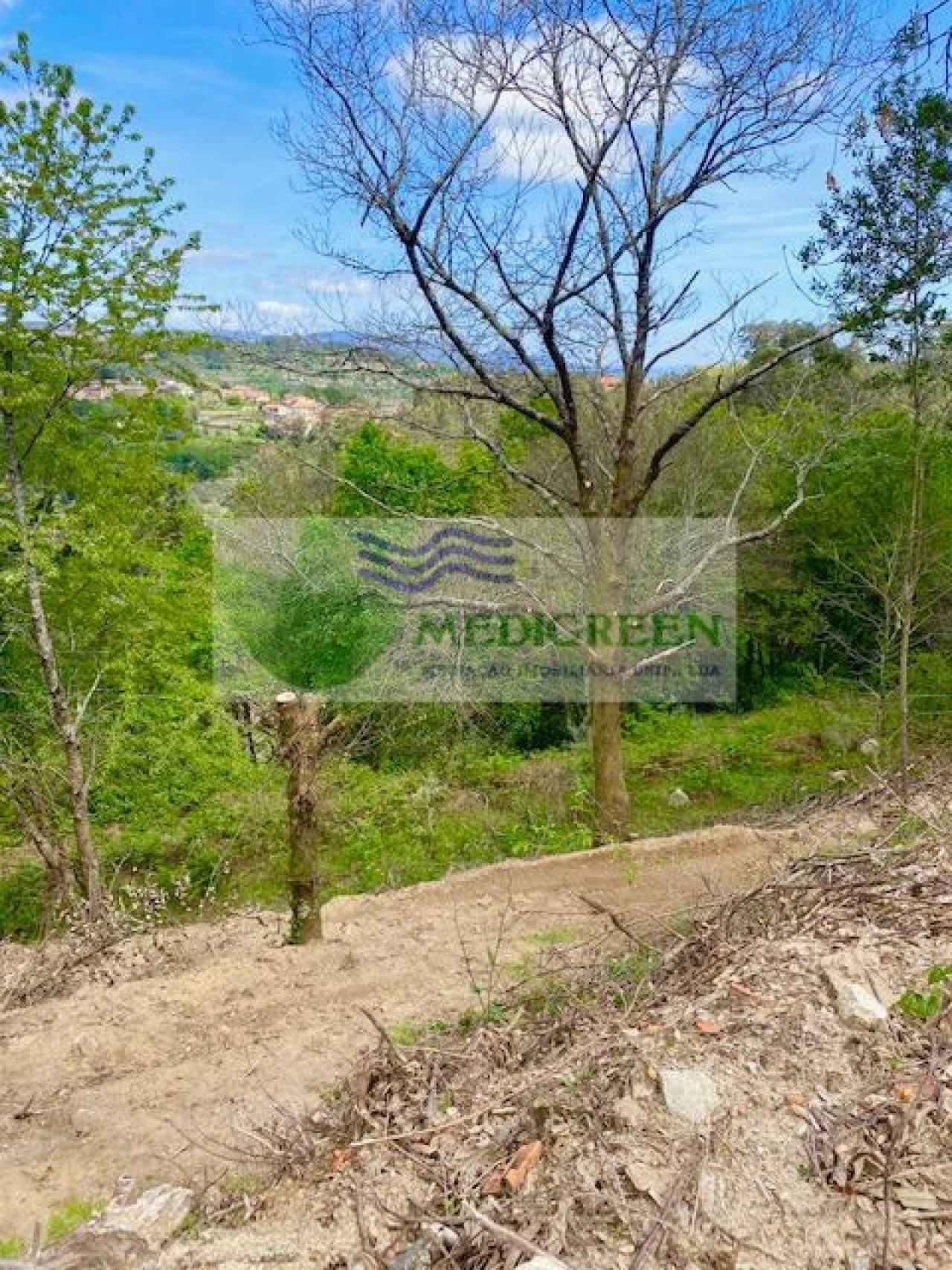 Moradia para Venda em Rocas do Vouga Foto 10