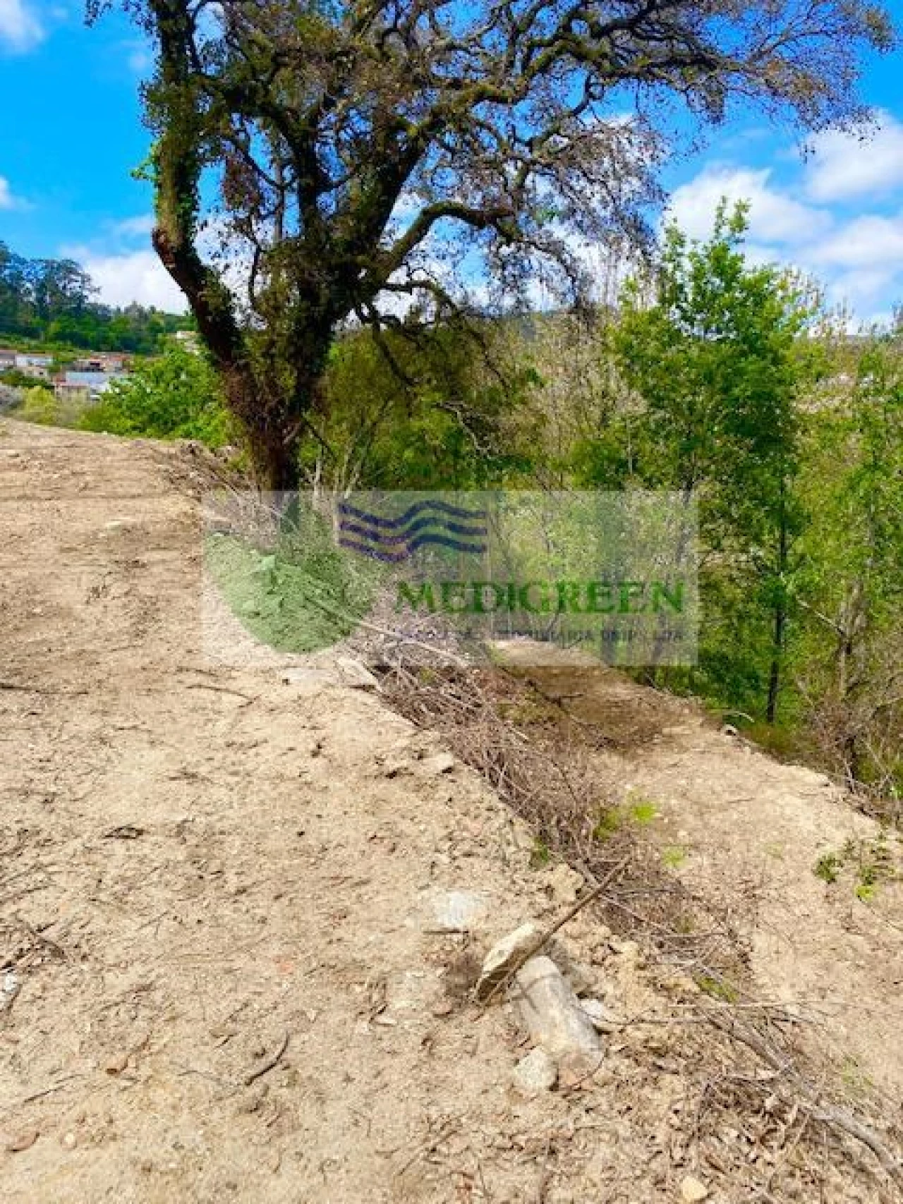 Moradia para Venda em Rocas do Vouga Foto 11