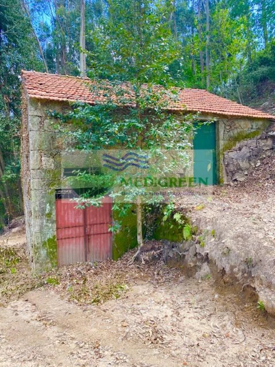 Moradia para Venda em Rocas do Vouga