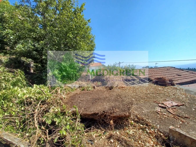 Moradia para Venda em Rocas do Vouga Foto 10