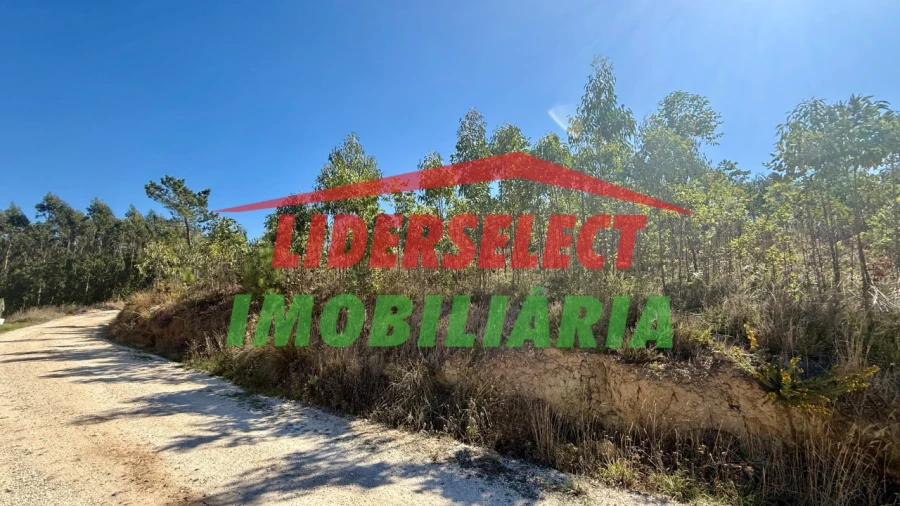 Terreno para Venda em Santa Maria, São Pedro e Matacães Foto 2