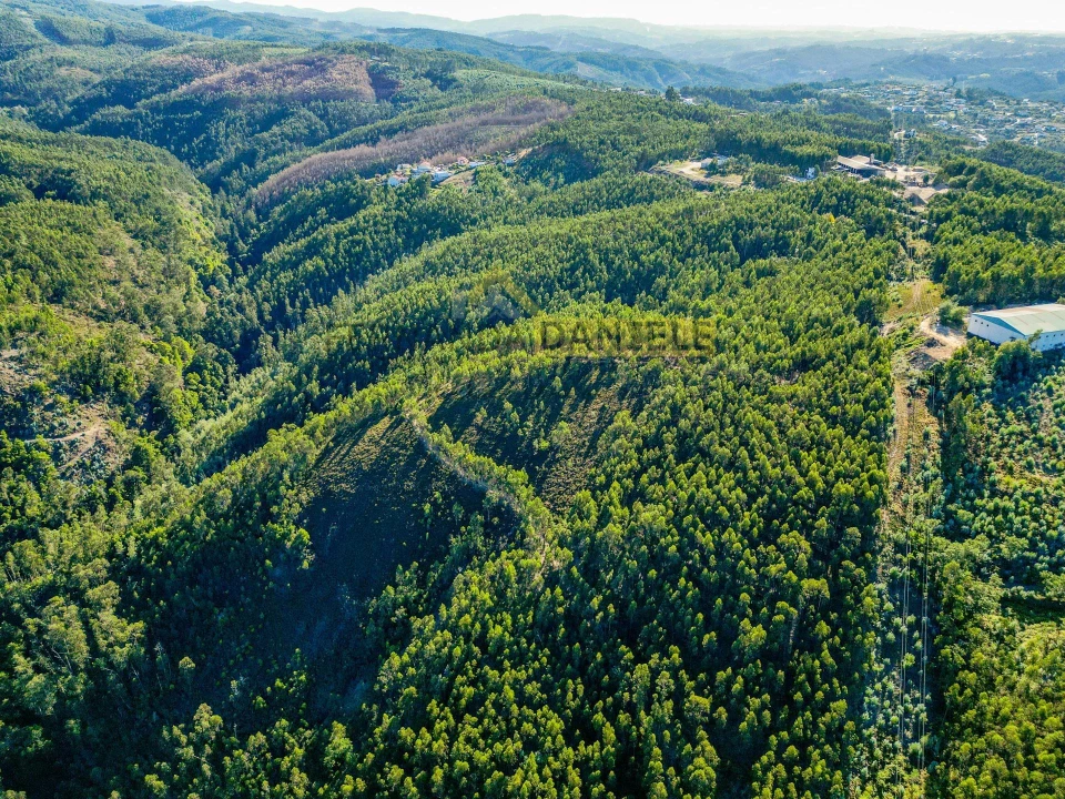 Terreno Agricola ou Rústico para Venda em Melres e Medas Foto 11