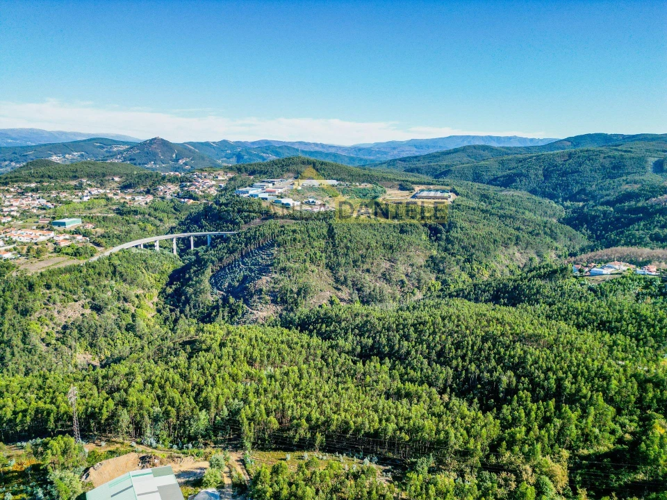 Terreno Agricola ou Rústico para Venda em Melres e Medas Foto 9