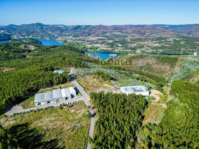 Terreno Agricola ou Rústico para Venda em Melres e Medas Foto 15