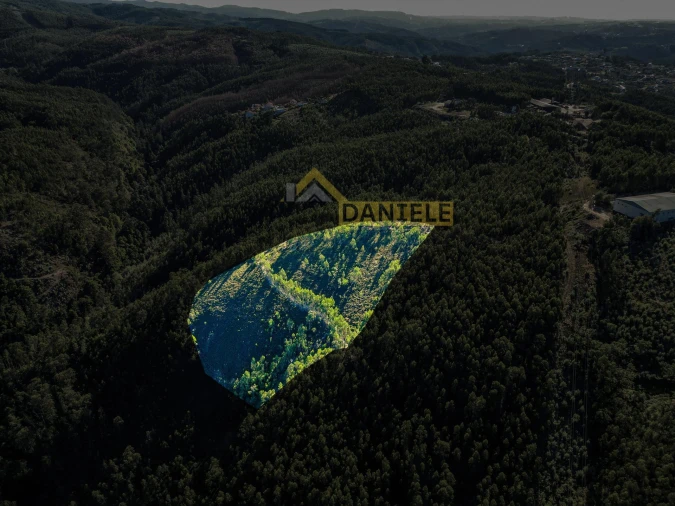 Terreno Agricola ou Rústico para Venda em Melres e Medas Foto 3