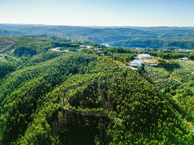 Terreno Agricola ou Rústico para Venda em Melres e Medas Foto 5
