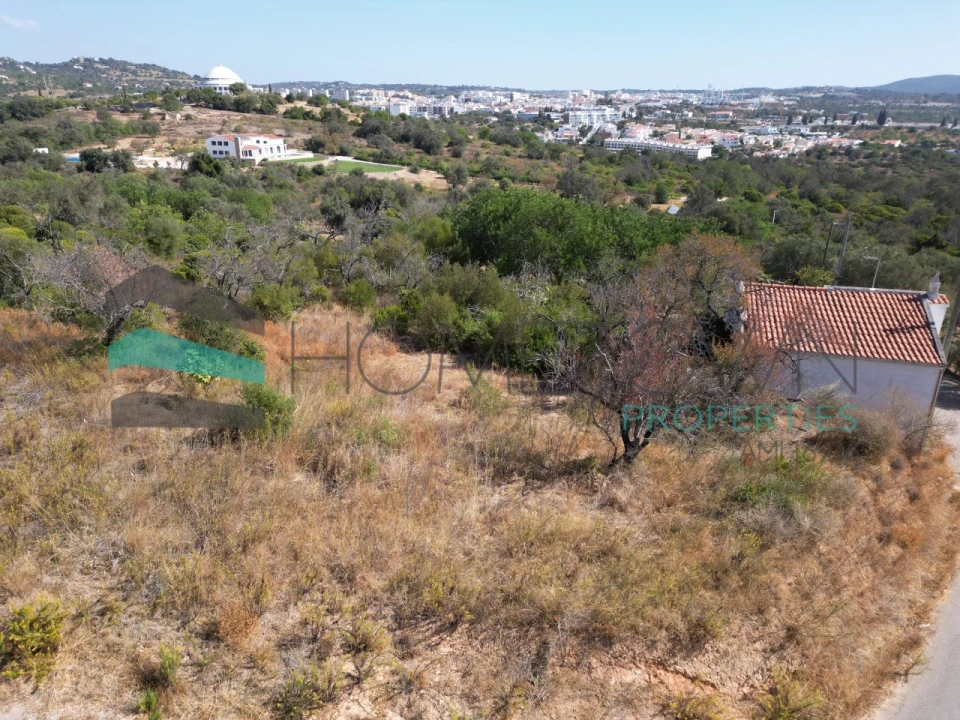 Terreno Misto para Venda em Loule (São Sebastião) Foto 4