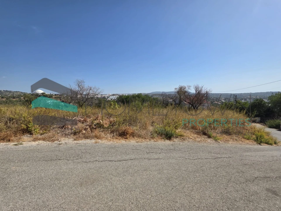 Terreno Misto para Venda em Loule (São Sebastião) Foto 2