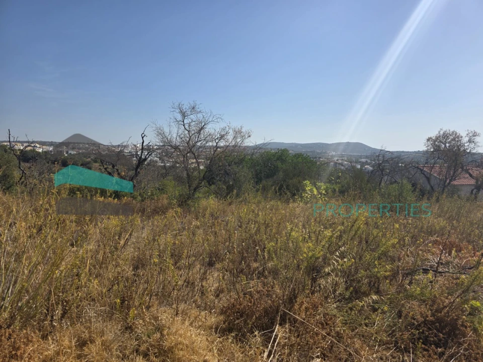 Terreno Misto para Venda em Loule (São Sebastião) Foto 3