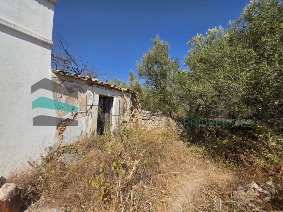Terreno Misto para Venda em Loule (São Sebastião) Foto 10