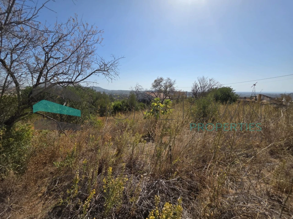 Terreno Misto para Venda em Loule (São Sebastião) Foto 13