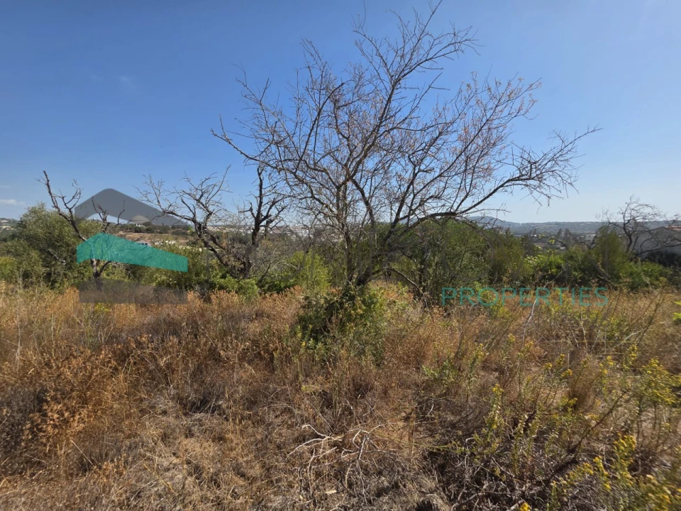 Terreno Misto para Venda em Loule (São Sebastião) Foto 18
