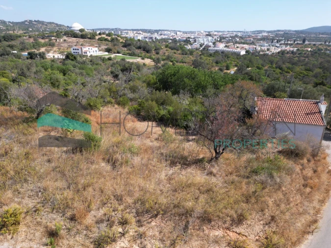 Terreno Misto para Venda em Loule (São Sebastião) Foto 4