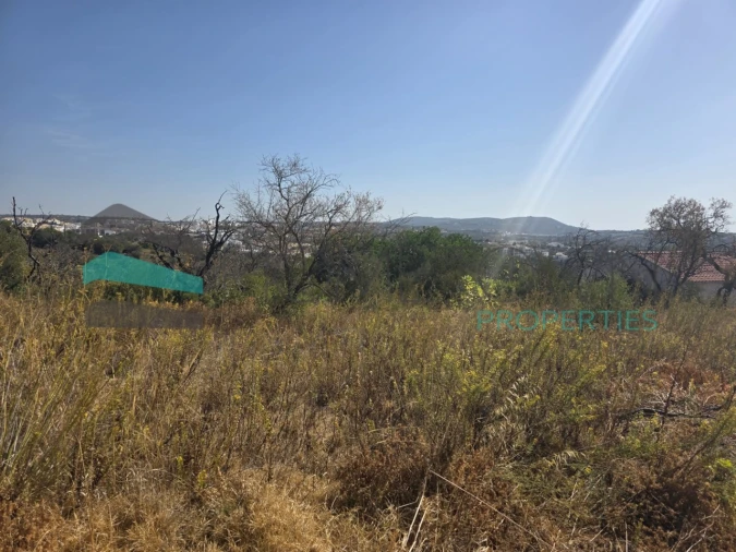 Terreno Misto para Venda em Loule (São Sebastião) Foto 3