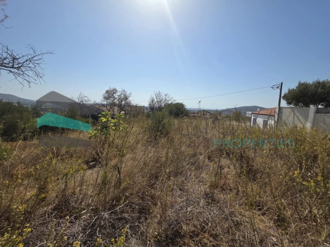 Terreno Misto para Venda em Loule (São Sebastião) Foto 5