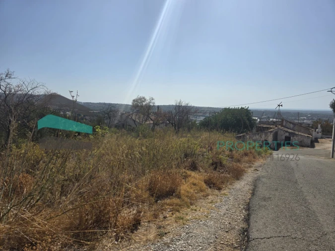 Terreno Misto para Venda em Loule (São Sebastião) Foto 6