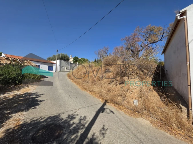 Terreno Misto para Venda em Loule (São Sebastião) Foto 8