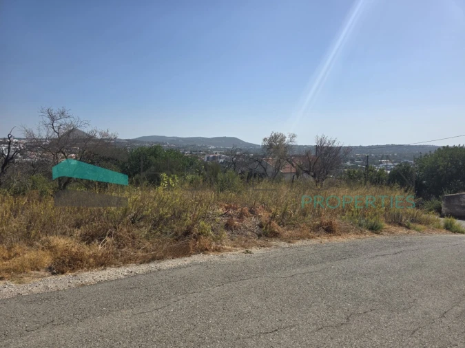 Terreno Misto para Venda em Loule (São Sebastião) Foto 11