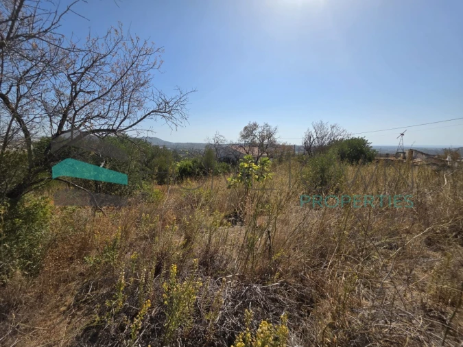 Terreno Misto para Venda em Loule (São Sebastião) Foto 13