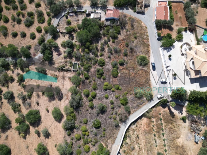 Terreno Misto para Venda em Loule (São Sebastião) Foto 7