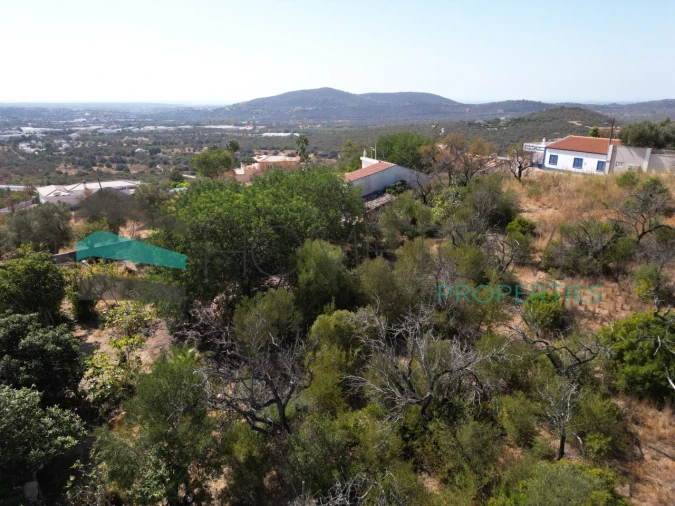 Terreno Misto para Venda em Loule (São Sebastião) Foto 14