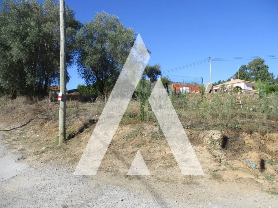 Terreno para Venda em Oiã Foto 1