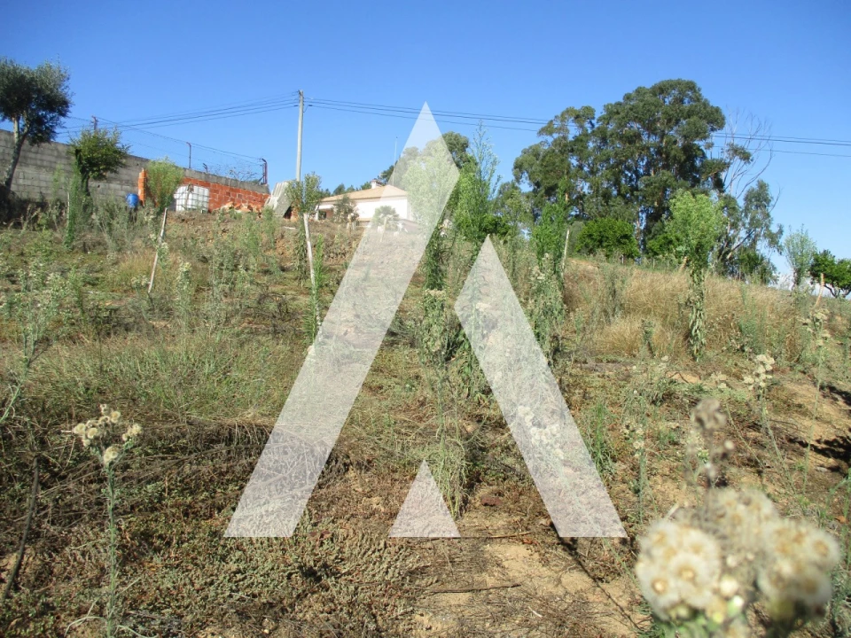 Terreno para Venda em Oiã Foto 4