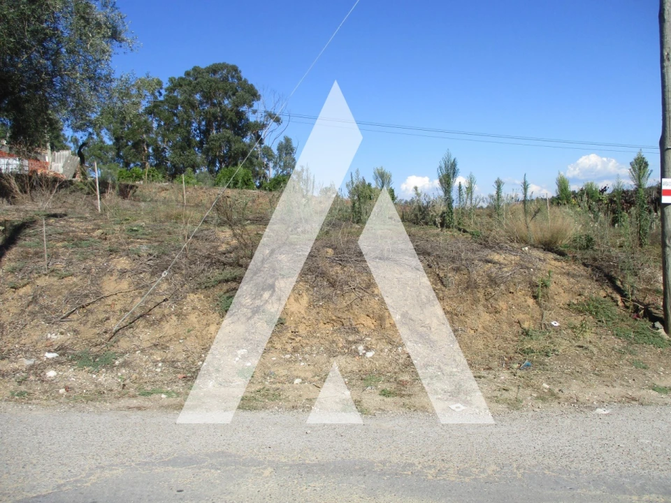 Terreno para Venda em Oiã Foto 6