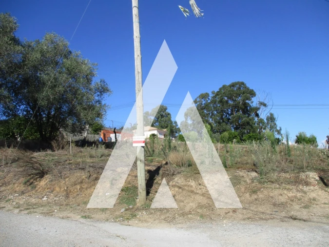 Terreno para Venda em Oiã Foto 2