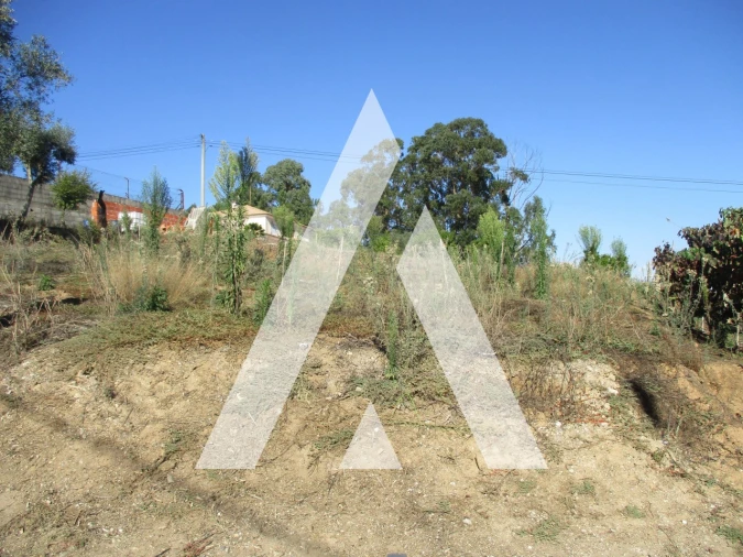 Terreno para Venda em Oiã Foto 3