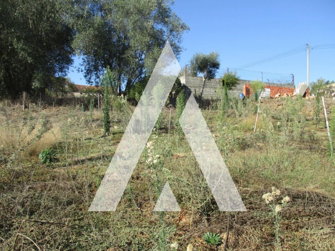 Terreno para Venda em Oiã Foto 5